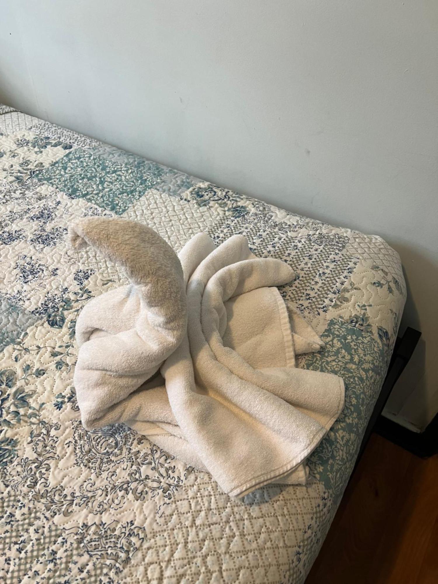 Hostal Victoria プンタアレナス エクステリア 写真